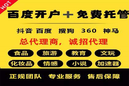 SEM代理实战：成功案例分享与经验总结